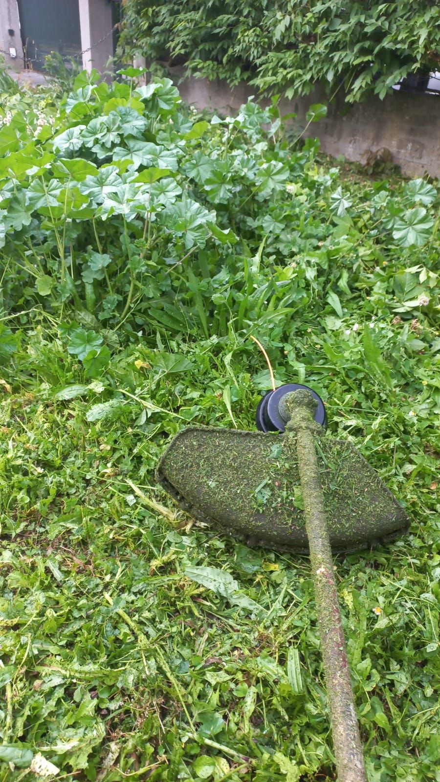 Decespugliatore sull'erba appena tagliata